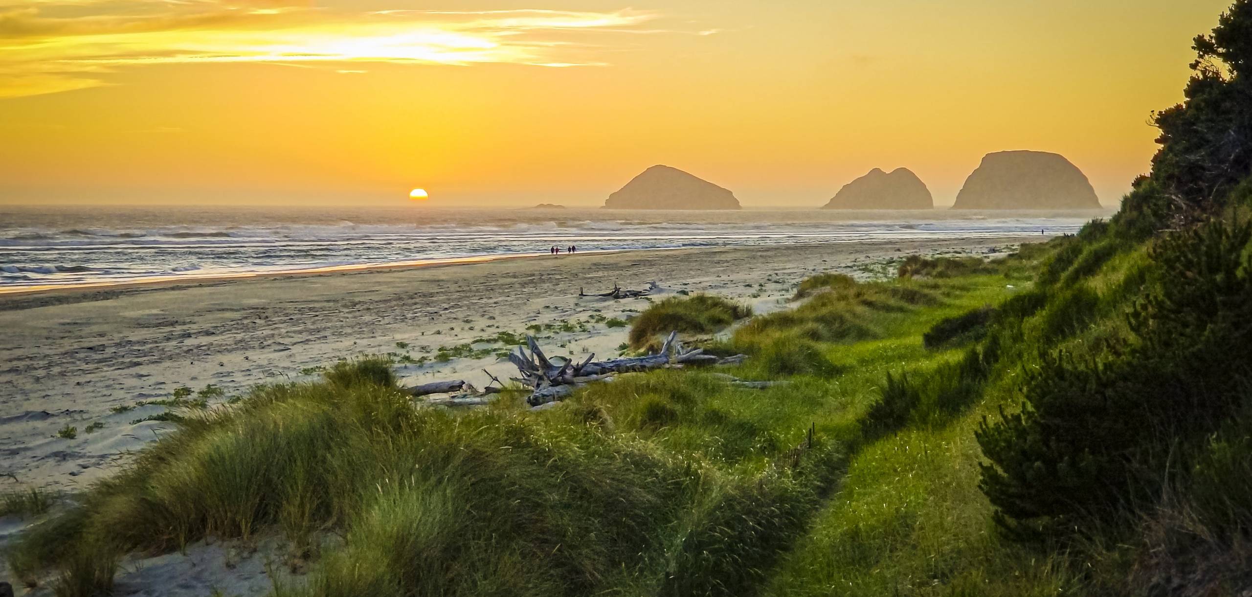 Shore Thing Vacation Rentals Oregon Coast Vacation Rentals